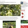 Herbstlicher Marmorguglhupf mit Kernöl und Kürbiskernen