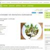 Fenchelsalat mit steirischem Kürbiskernöl aus der Steiermark