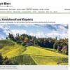 Herbst in der Steiermark: Wein, Steirisches Kürbiskernöl und Klapotetz